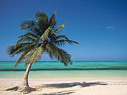 Bild_MediTravel
